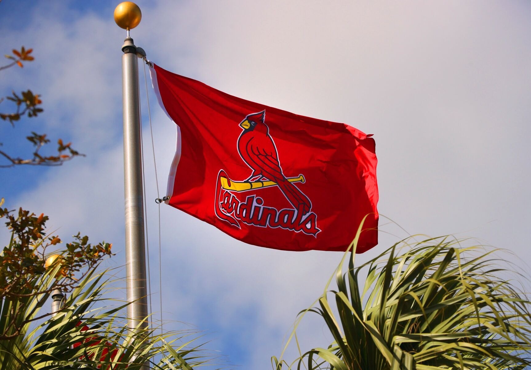 Cardinals minor league spring training in Jupiter